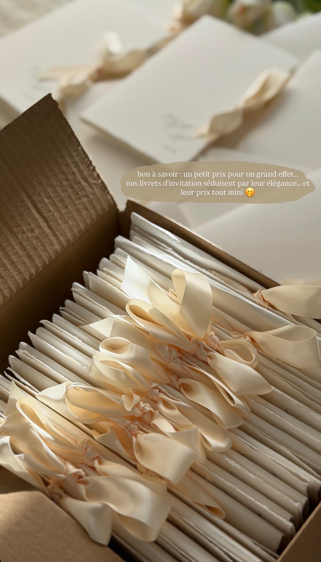 Faire part - Livret d'invitation